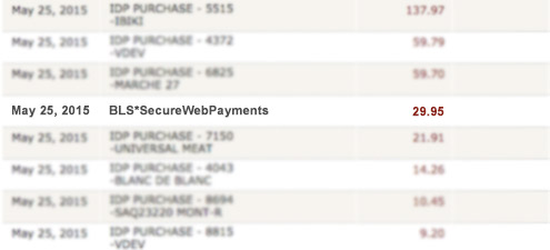 BLS Secure Web Payments